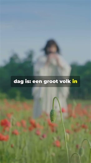 God Keert Het Om | Genesis 50:20 (HSV)