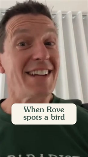 3.8K views · 162 reactions | You can always tell when Rove McManus spots a good bird…  From Weekend Birder podcast Episode 121 #birdnerd #birdwatchingaustralia #weekendbirder #australianbirds #birdlifeaustralia | Weekend Birder | Facebook