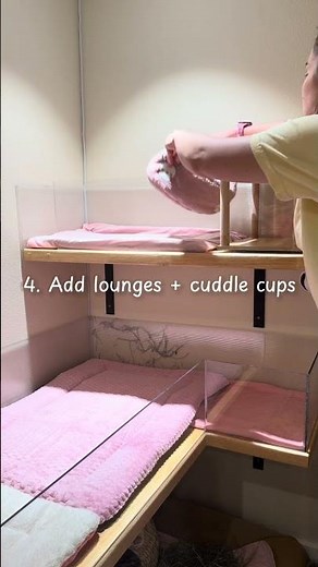 Perfect guinea pig cage setup! How do you like setup your cage? #guineapigs #cutepets #guineapig