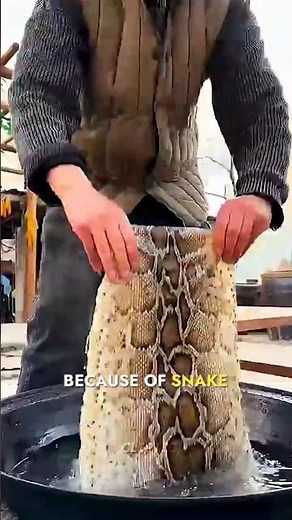 This Ancient Instrument Uses Real Snake Skin #facts #shorts