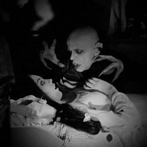 Nosferatu (1979) | The Nocturnal Cult