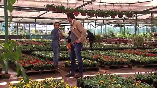 El Camionero Capitulo 22