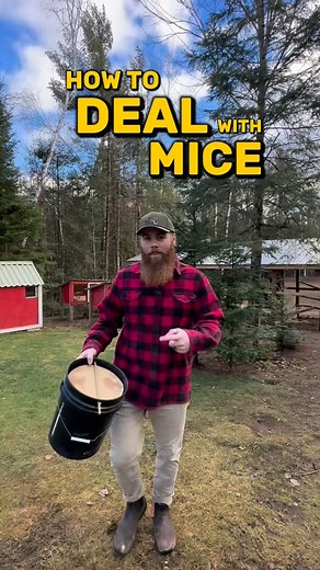 548K views · 7.5K reactions | The best way to deal with mice  画 ❌ our vehicles and equipment constantly become homes for mice if we don’t stay on top of this, but when we do we never have problems thanks to this simple method of catching and dealing with mice on the homestead. #homestead #snowstead #mousetrap #mice #pestcontrol | Snowstead | Facebook