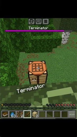 Ik word opgejaagd door een TERMINATOR in Minecraft 😨💀!
