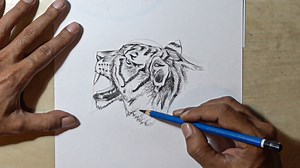 Tiger head from every perspective: Easy drawing practice for artists
