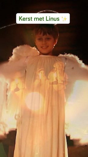 Kerst Met Linus: Dagelijkse Afleveringen Tot Kerst