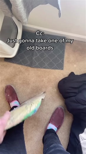 Don’t be afraid to have fun in the snow #greenscreenvideo #snowboarding #snowskate #snowskateboarding #skatetiktok #merrychristmas