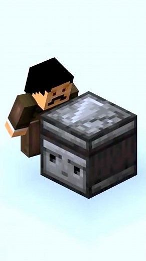 Minecraft Observer FACTS