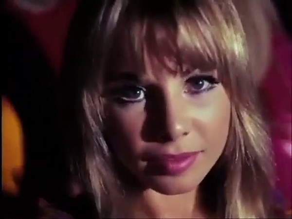 The big switch: Official trailer