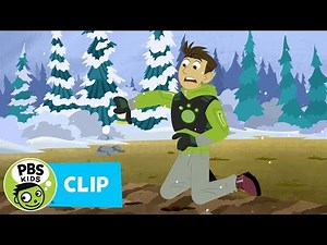 WILD KRATTS | Chickadee Challenge! | PBS KIDS