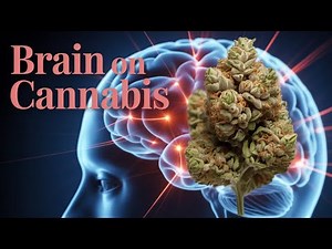 Effects of Cannabinoids on the Brain | Science Explained 🧠🌿