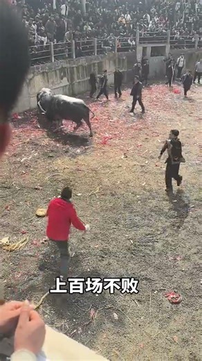 The Truth Behind the Legendary Hacker: Real Stories from Ethnic Minorities