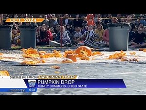 Chico State hosts 38th annual pumpkin drop today