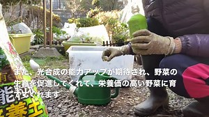 コンポスト作り方♡落ち葉＋米ぬか＋EM発酵液で堆肥つくり♪ - マクロ美アンSachi