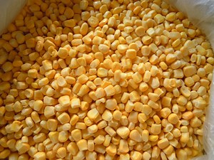 [Hot Item] Frozen Corn Kernel, IQF Sweet Corn