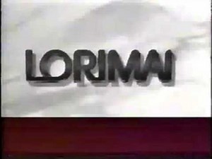 Warner Bros. Domestic TV Dist/Stone Television/Lorimar Television/Warner Bros. TV (1989)