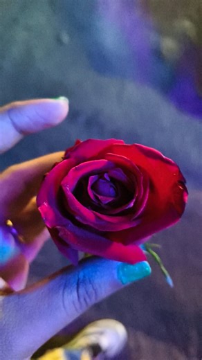 Saniya Mirza on Instagram: "Tere liye...💗💐 #fyp #umsgrw #instagood #reelkarofeelkaro"