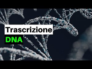 Un DOGMA nella BIOLOGIA?! La trascrizione del DNA nei procarioti e negli eucarioti