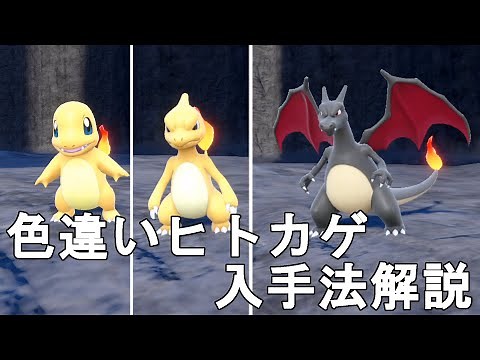 [Pokemon SV] How to get a shiny Charmander (Charizard)! Pocket Monster Skarlet Violet Shiny Charm...
