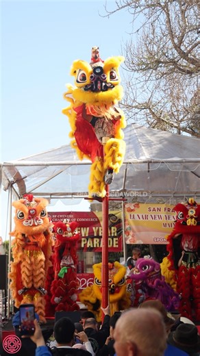 Leung's White Crane Kun Seng Keng USA Lion Dance 2026