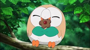 It’s okay, Rowlet! You’re doing your best! | Pokémon
