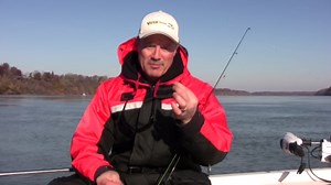 How to rig a live minnow for maximum action - different ways to hook minnows