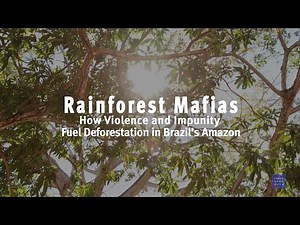 Rainforest Mafias: How Violence and Impunity Fuel Deforestation in Brazil's Amazon