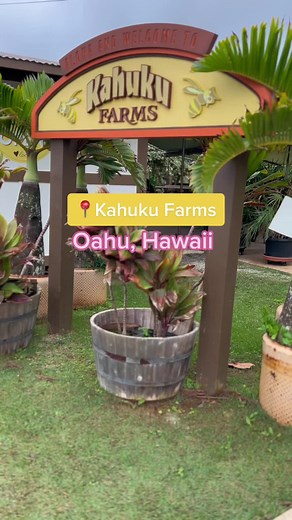 Explore Kahuku Farms: Family Fun in Oahu, Hawaii