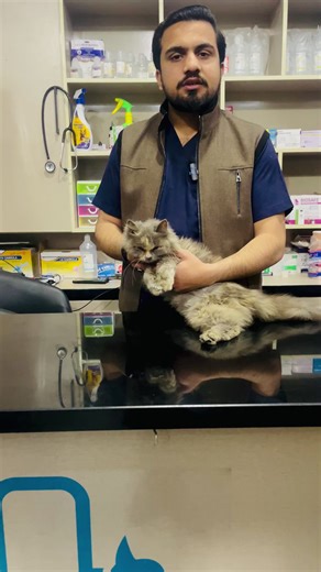 Understanding Animal Pain: Silent Suffering of Pets