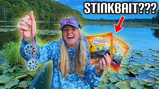 Swamp catfish stinkbait tested, catch results revealed