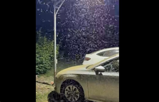 Will midges swarm Lake Balaton's shores once more this year?