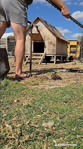 T-Post pulling PRO TIP!