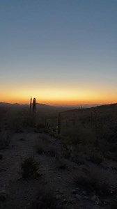 I AM HAVING SO MUCH FUN IN THE DESERT AND I ONLY JUST GOT HERE 😭🩷🌵 Getting to see species that I’d previously only read about is always a magical experience ✨ Add in a sunset so pretty cameras can’t fully catch it? That’s a recipe for Alexis Tears 🥹 I can’t wait to see what the rest of the week has in store!! | BlackForager