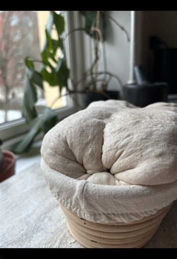 When I first started baking sourdough I was following recipe timings religiously and couldn’t understand what went wrong with my loaves😅 Until I stopped watching the clock and started to actually look at the dough and use my senses and intuition to judge the fermentation. Bulk fermentation isn’t about the clock — it’s about dough temperature, starter strength, and gluten development working together🫧💦🤝🏼 If your dough is very hot/cold, weak, or underdeveloped, it won’t ferment properly unles