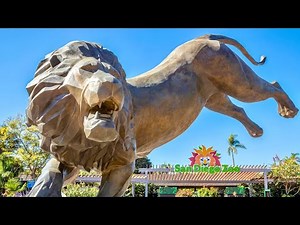 A Virtual Tour of the San Diego Zoo