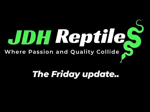 Friday update, checking on eggs, availability, auction..