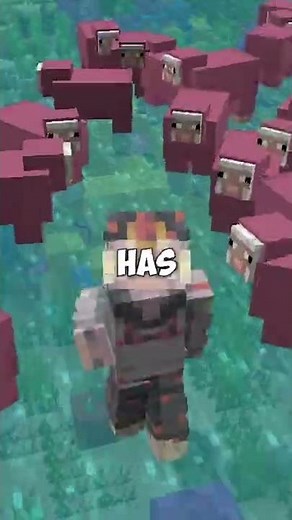 the ACTUAL rarest minecraft block