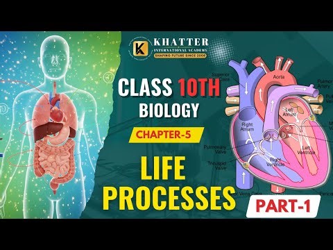 📘 Class 10 Science – Life Processes (Part 1) | Detailed Topic Coverage | NCERT | Boards 2025