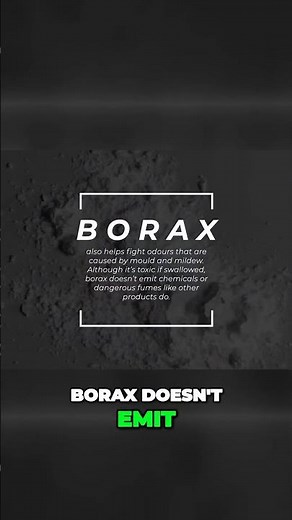 Unlocking the Magic of Borax for Mold Free Homes!