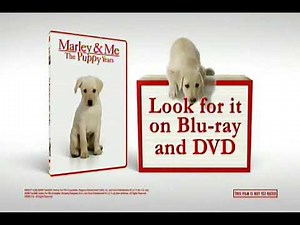 Opening to Rio 2011 DVD (Alex Little's Second Request)