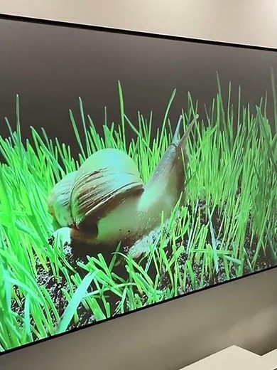 Leltcc Metal Anti Light Curtain Reflective Fabric Cloth Projector Screen