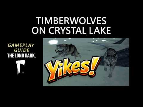 Timberwolves on Crystal Lake, The Long Dark