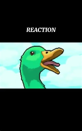 Funny Animal Reactions by Alingga Febby