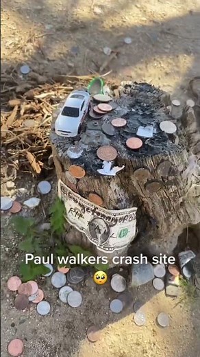 Remembering Paul Walker: Exploring His Crash Site | A Tribute to a Legendary Legacy