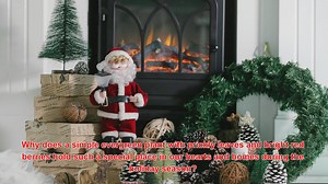 Why Is Holly Often Associated With Protection And Christmas Cheer?