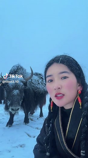 མཛེས་སྡུག་ལྡན་པའི་བོད་ཀྱི་འབྲོག་མོ།Beautiful Tibetan nomad woman@Tibet 310 @Tibet 310 @Tibet 310