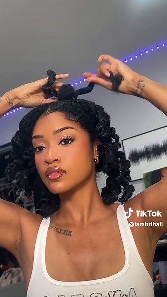 Quick & Easy 5 Braid Braidout Tutorial for Natural Hair