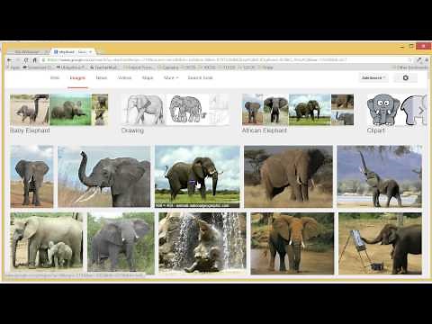HTML - Saving images to use on a website