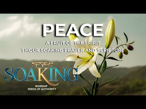 PEACE • Scriptures on God's Peace (1 Hour Soaking Worship & Instrumental Prayer)