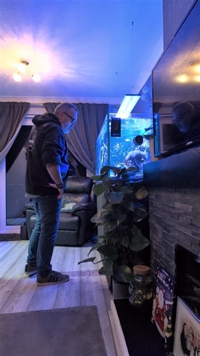 🌬️ ION-B Power Up, Cozy Inside. @nyos.aquatics ION-B topped up, parameters locked, and ready for the weekend. Let the wind howl outside—I'm staying right here watching the reef. Nothing beats this contrast! 🤙 Happy Friday, reefers! #Nyos #IONB #WindyNightReef #FridayNightReef #MurphsReefVibe #ReefTank #SaltwaterTherapy #CozyVibes #reeflife | Chris Murphy